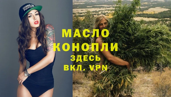дживик Володарск