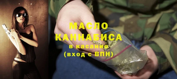 дживик Володарск