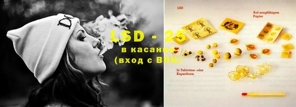 дживик Володарск