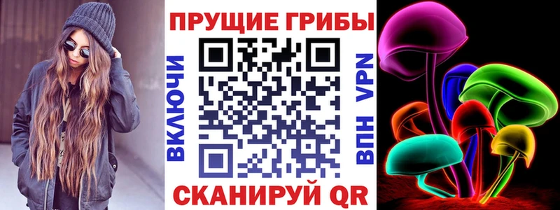 площадка как зайти  где можно купить   Кадников  Галлюциногенные грибы Magic Shrooms 